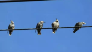 电力施工中安装电线电缆接头注意要点及处理方法